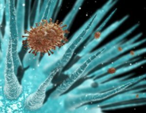 Ученые определили, что наночастицы диоксида титана способны разрушать вирус гриппа